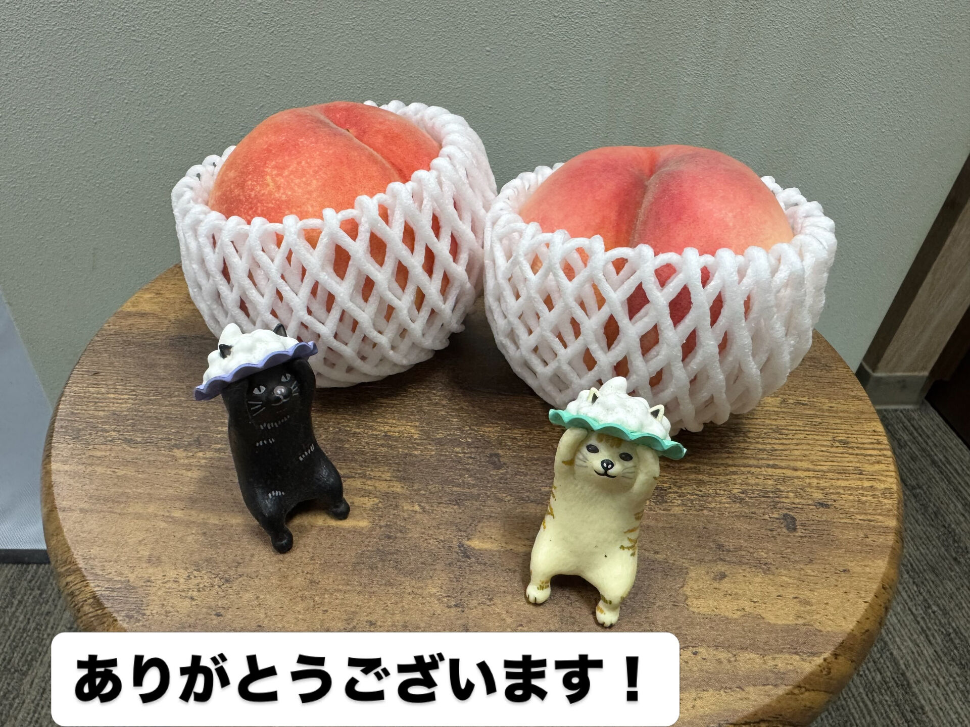 【町田 | 傘修理 】 おしゃな傘のハンドル交換 【 日傘 